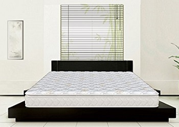 Sleepwell Esteem Softec Mattress