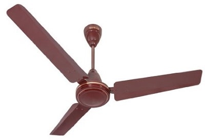 Havells Pacer 1200mm Ceiling Fan