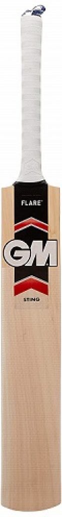 GM Sting Kashmir Willow Cricket Bat Short Handle Mens