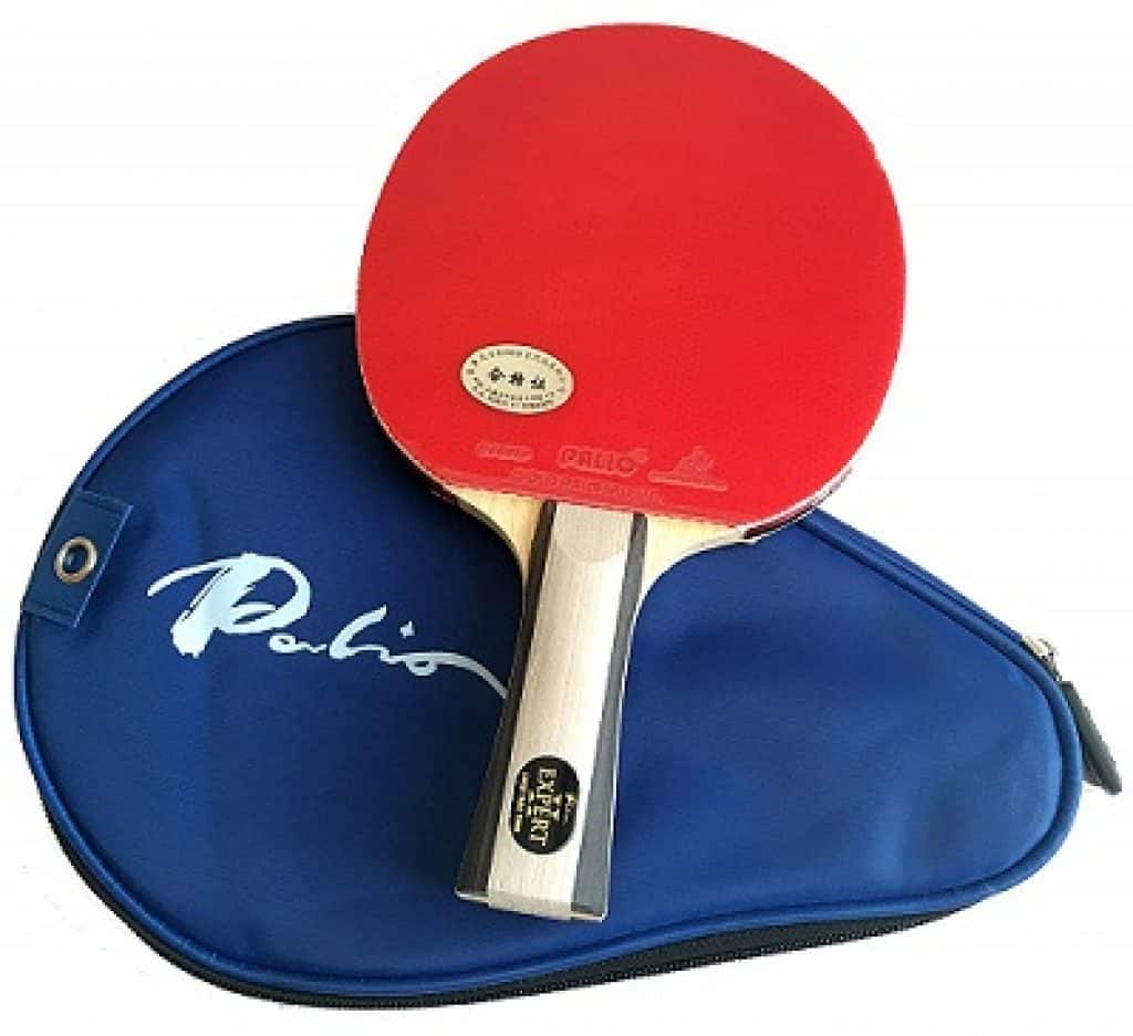 Palio Expert 2.0 Table Tennis Racquet & Case