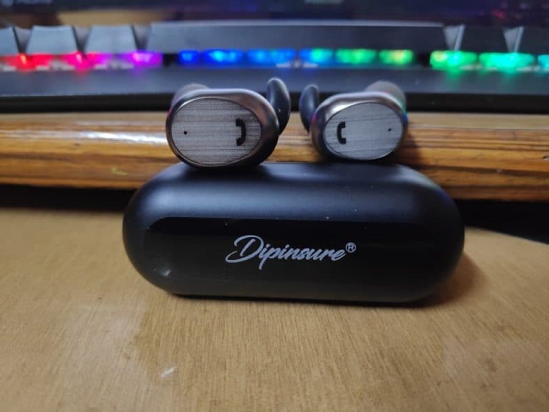How Good Are Dipinsure Heaven 200 True Wireless Earbuds ? Review