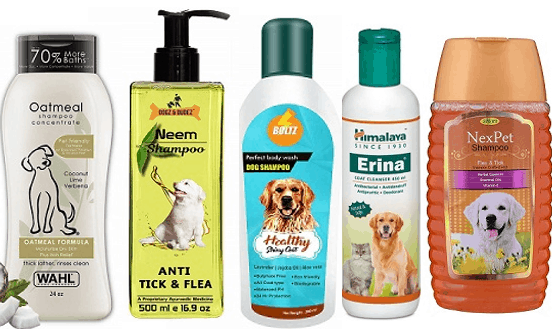 recommended dog shampoo