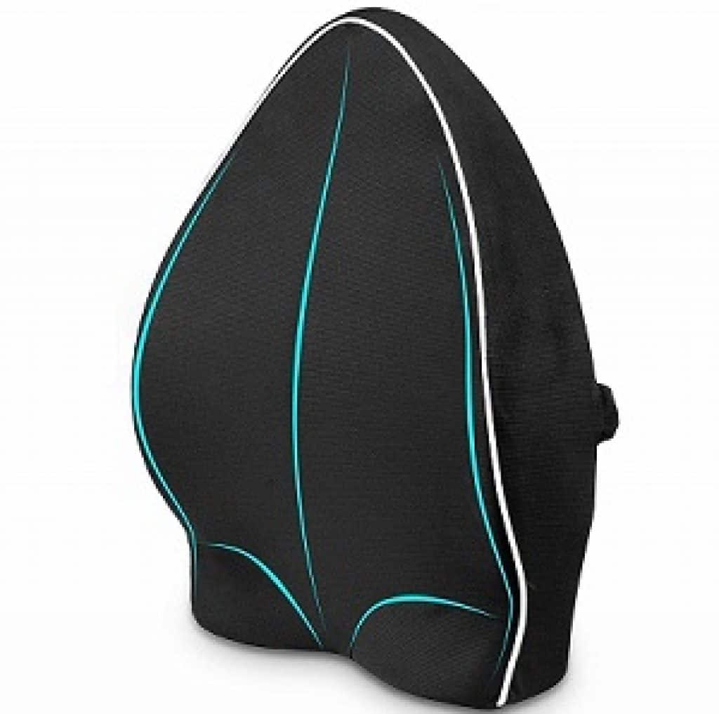 10 Best Lumbar Support Pillows in India 2024 Shubz Reviews