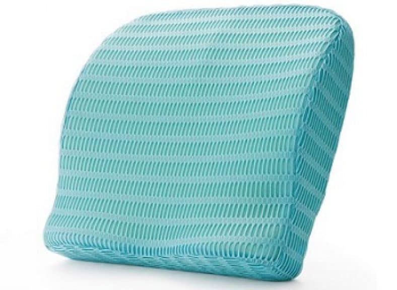 10 Best Lumbar Support Pillows in India 2024 Shubz