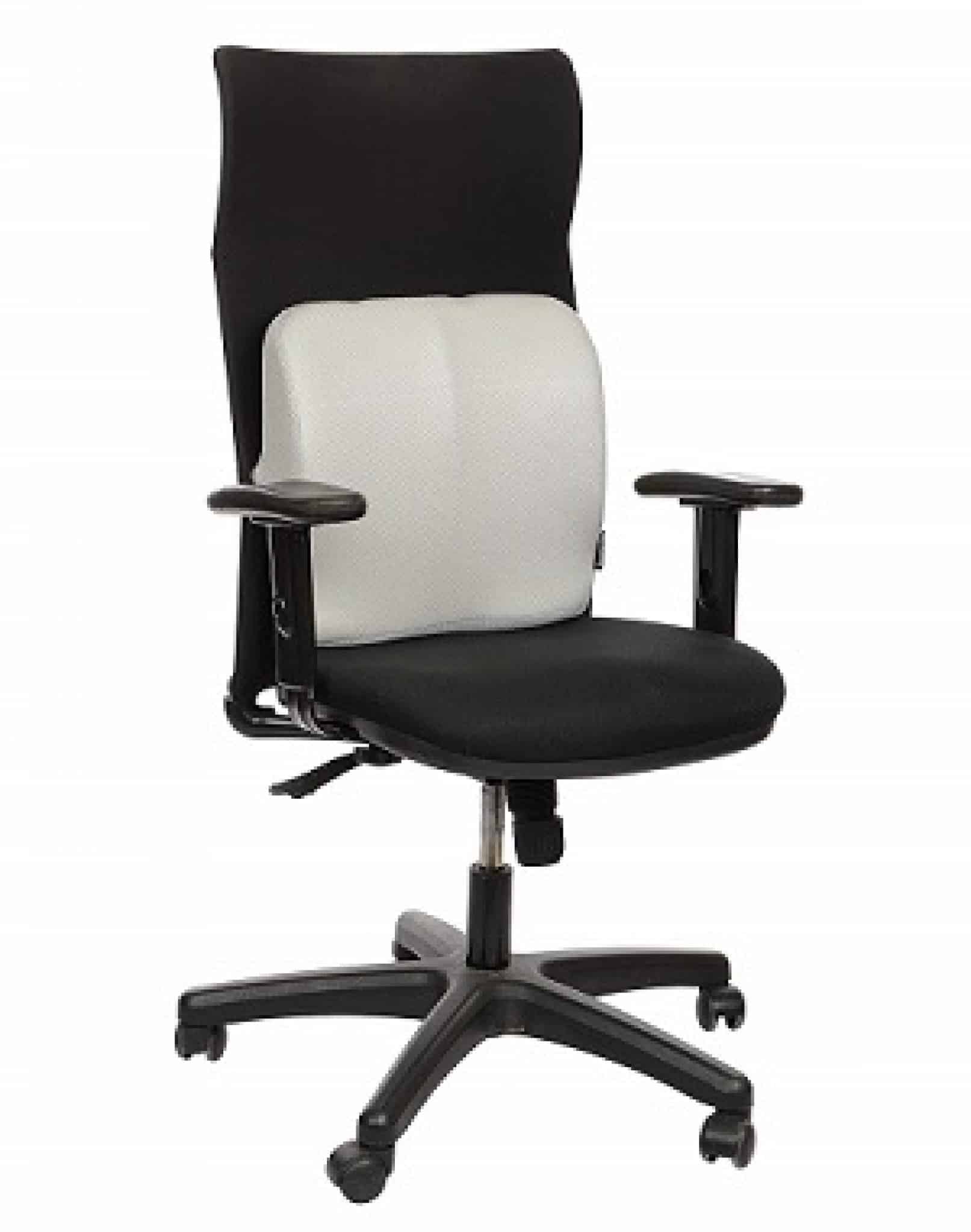 10 Best Lumbar Support Pillows in India (Oct 2021) - Shubz