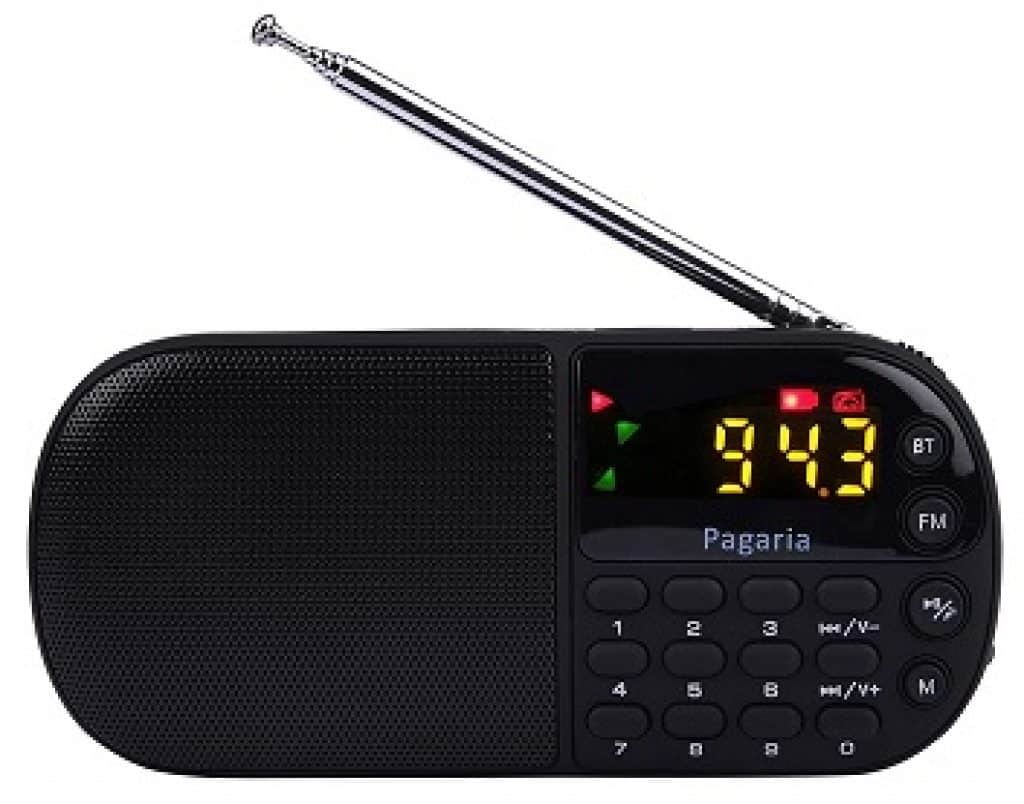 11 Best Portable FM Radio Speaker in India Shubz