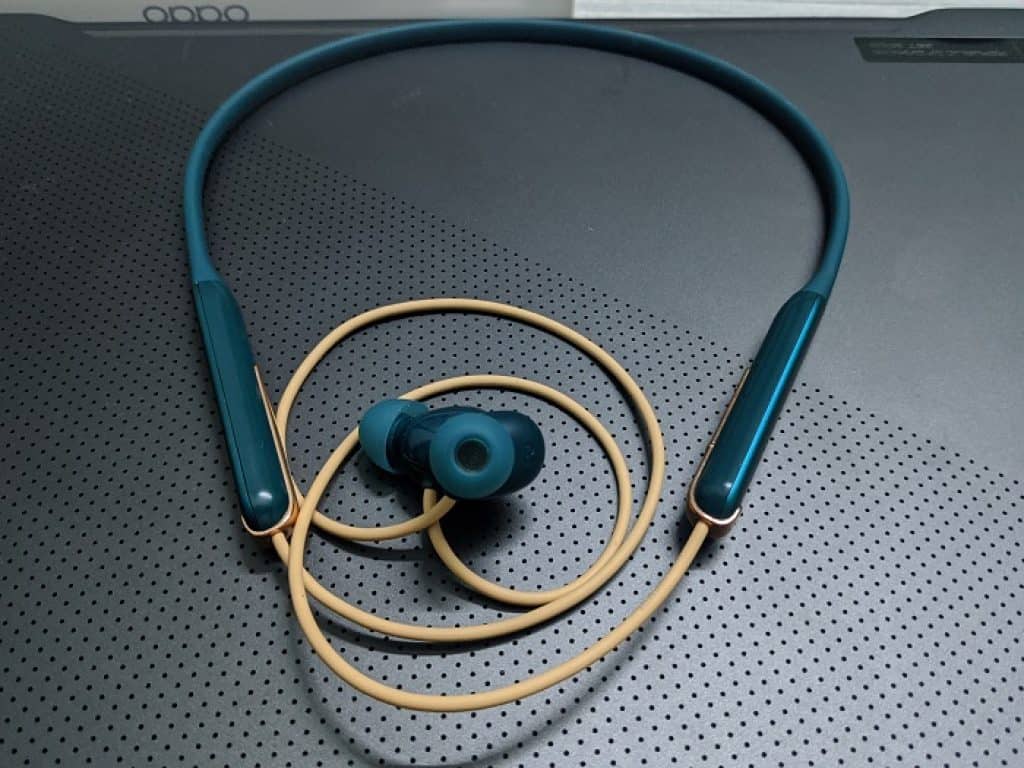 Oppo Enco M31 Neckband Review 1