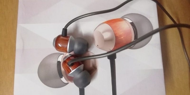 Boult Audio basswood Earphones Review
